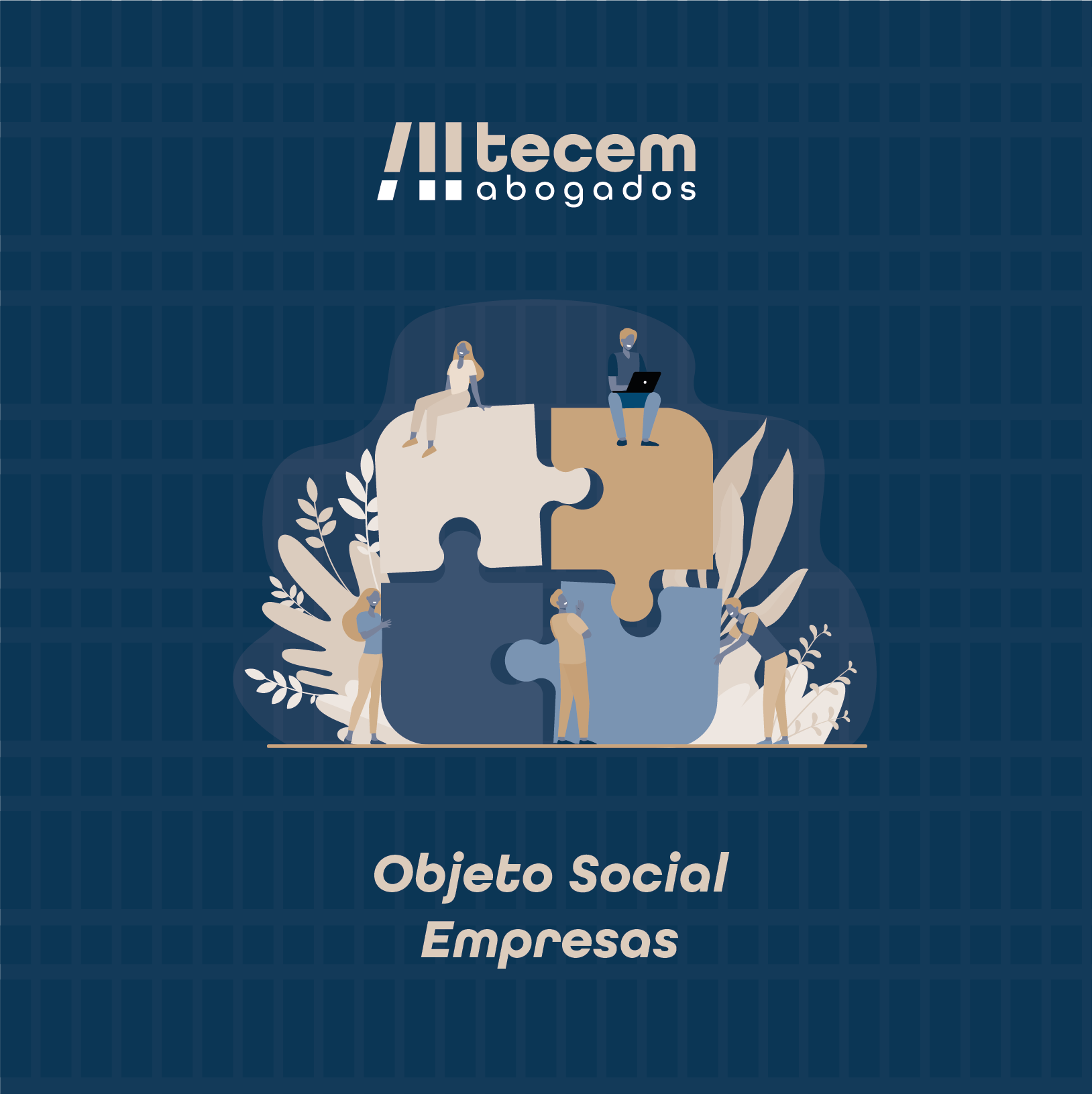 Consecuencias de Modificar el Objeto Social de una Sociedad en Málaga y Benalmádena