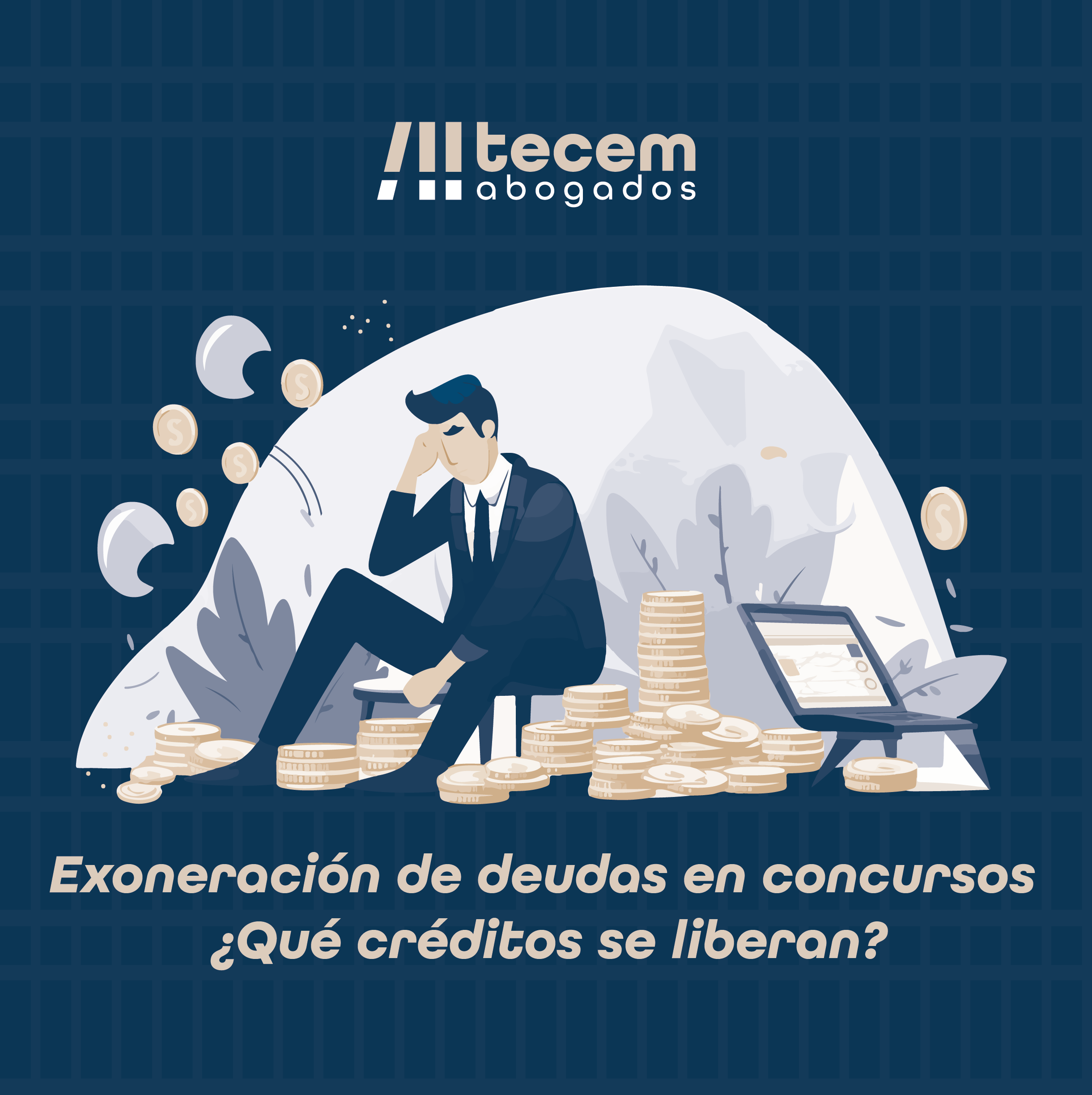 Efectos de la exoneración del pasivo insatisfecho sobre los créditos exonerables